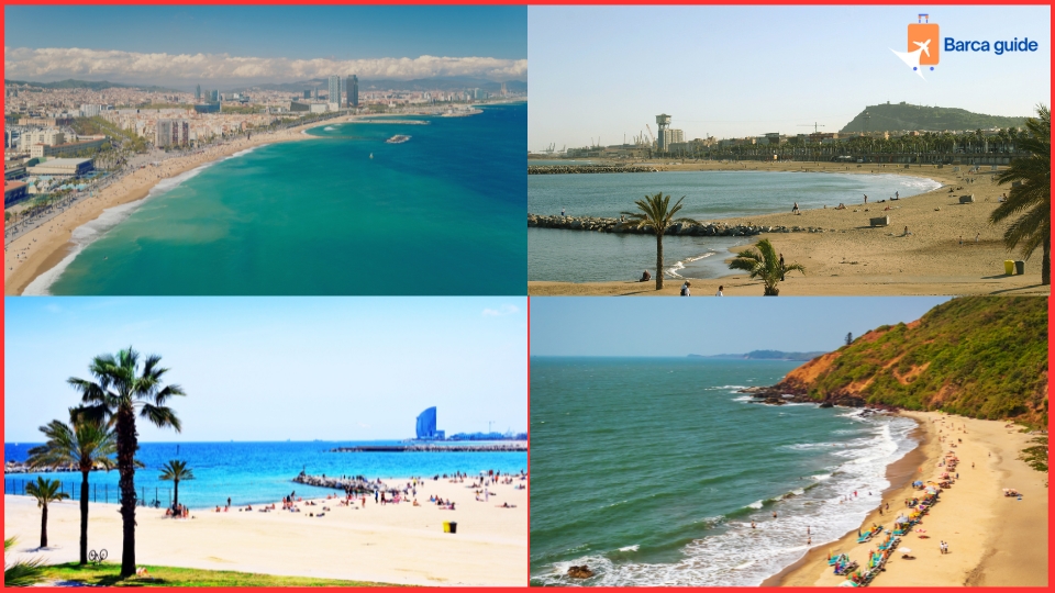 Discover the Best Beaches in Barcelona